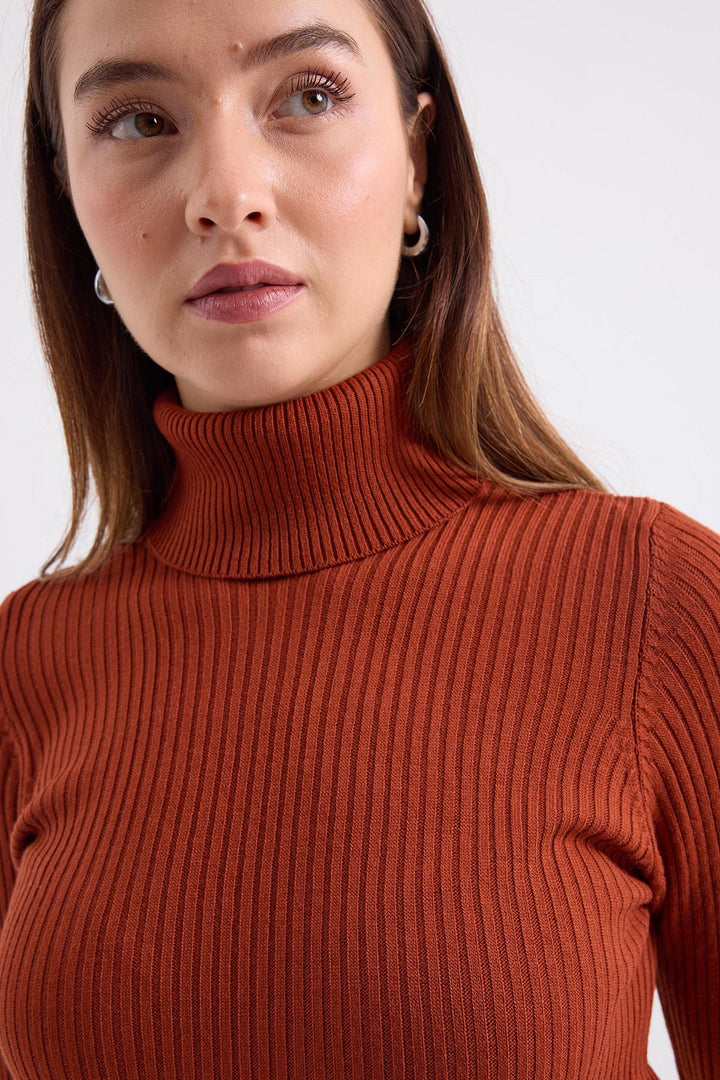 Bigdart 10311 Pull col roulé en tricot - Brique