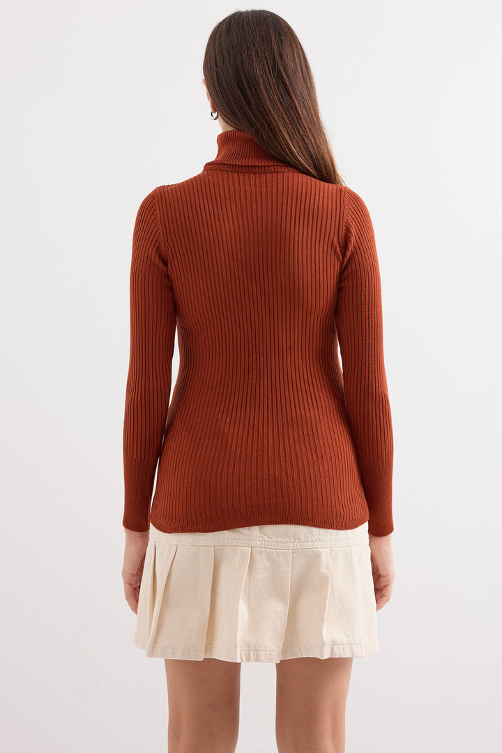 Bigdart 10311 Pull col roulé en tricot - Brique
