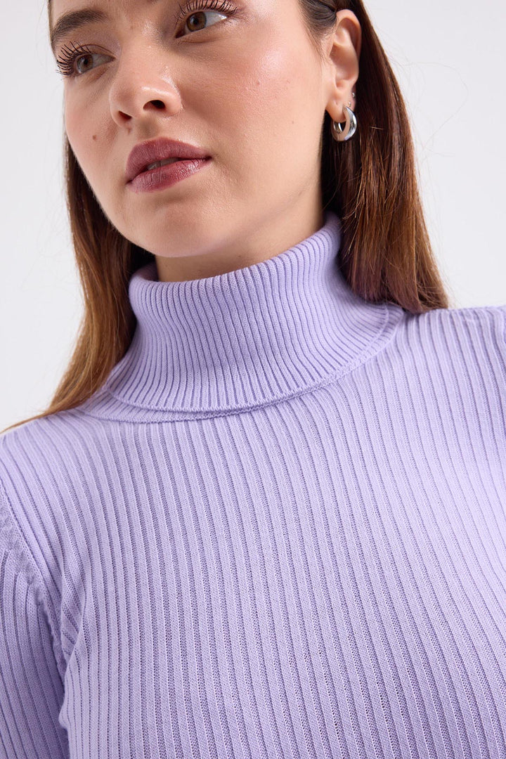 Bigdart 10311 Pull en tricot col roulé - Lilas