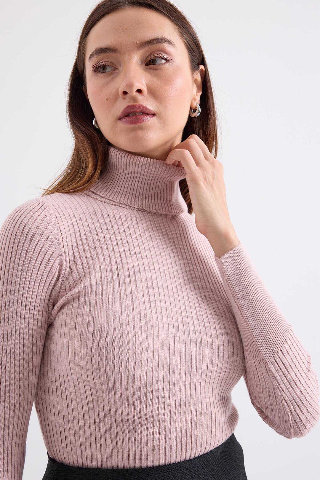 Bigdart 10311 Pull Tricot Col Montant - Rose