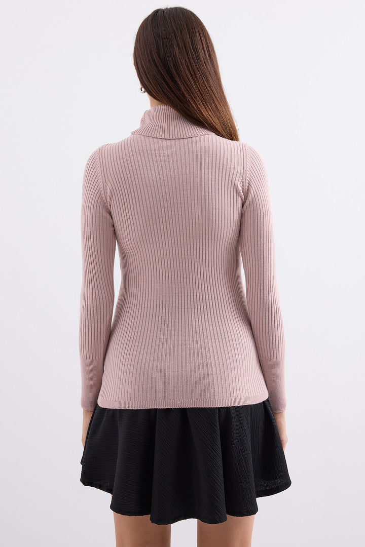 Bigdart 10311 Pull Tricot Col Montant - Rose