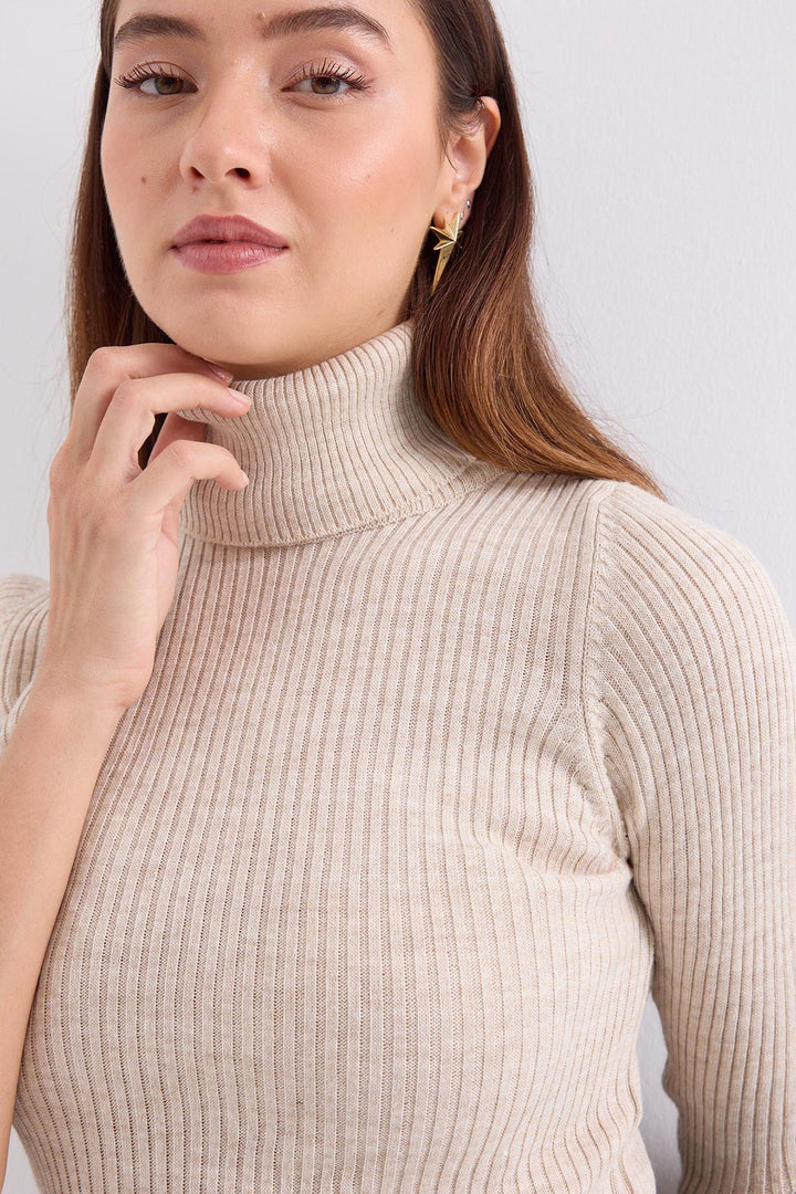 Bigdart 10311 Pull Tricot Col Montant - Pierre