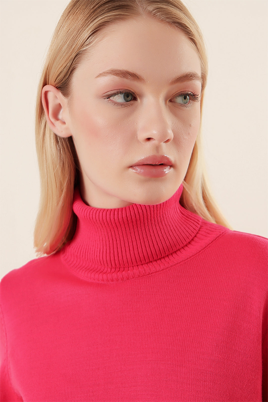 Bigdart 15747 Pull Tricot Col Montant - Fuchsia
