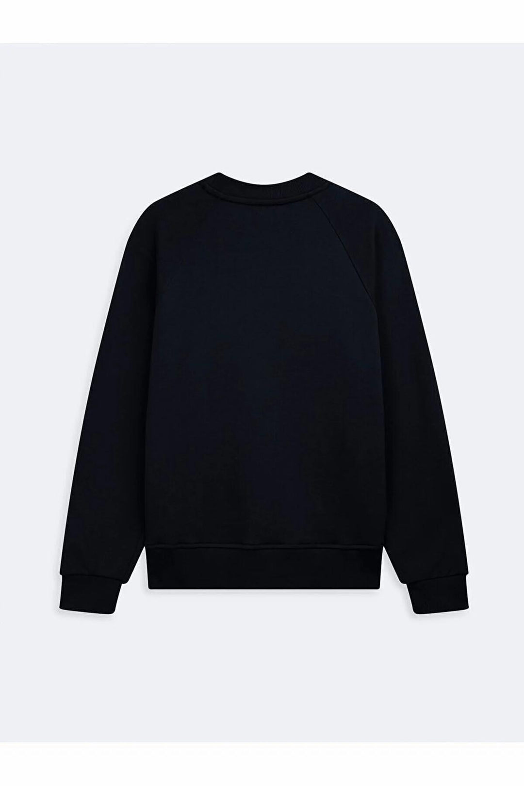 LTB Sweatshirt basique à col rond bleu marine à manches longues - laci̇vert_301