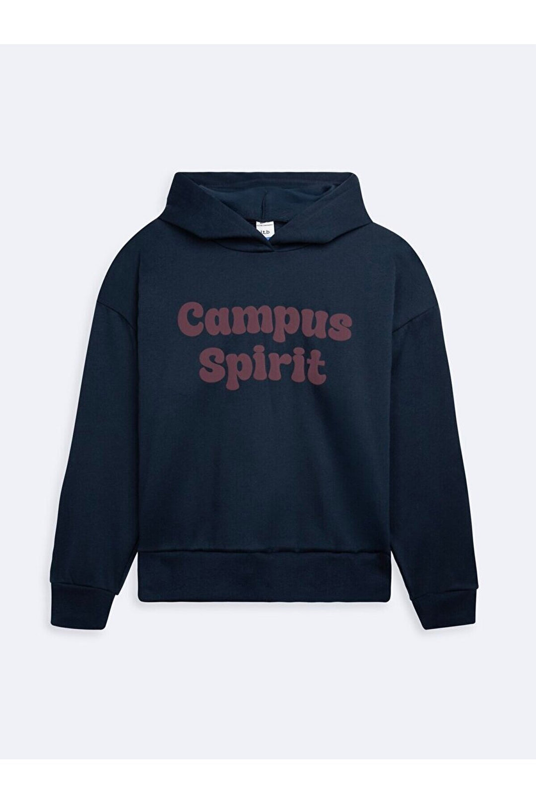 LTB Sweatshirt à capuche bleu marine avec slogan à manches longues - laci̇vert_301