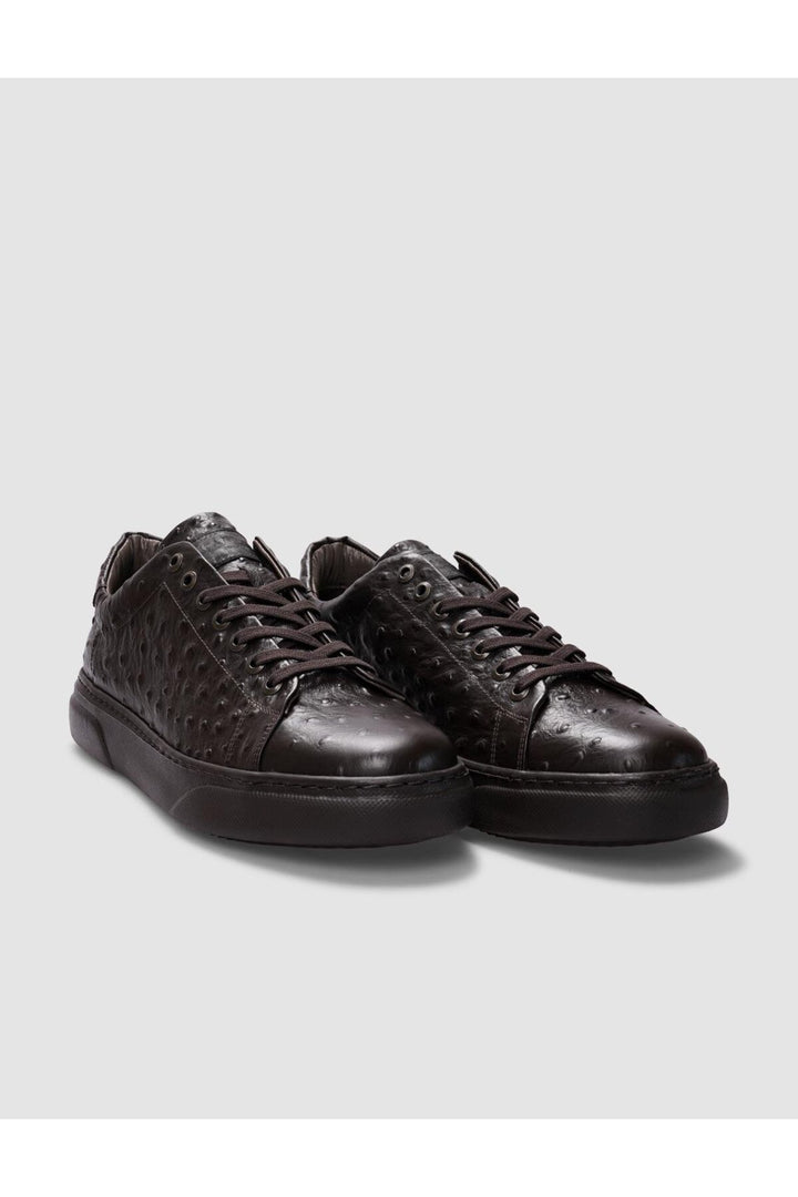 Cabani Shoes Chaussures de sport pour hommes en cuir véritable marron à lacets - Marron