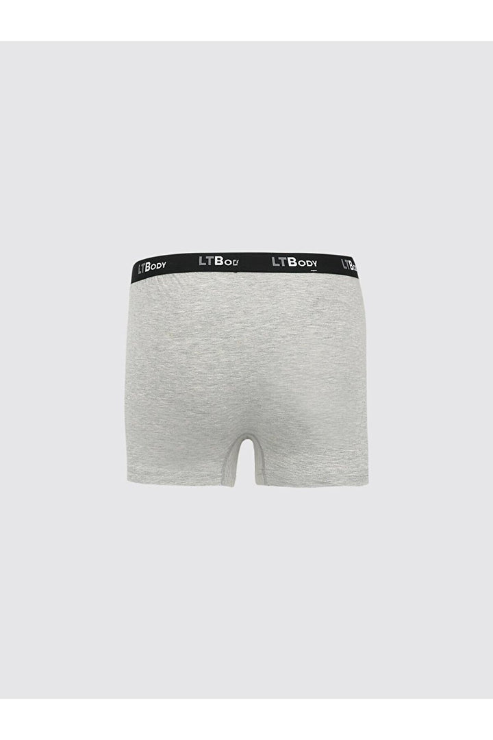 LTB Boxer gris