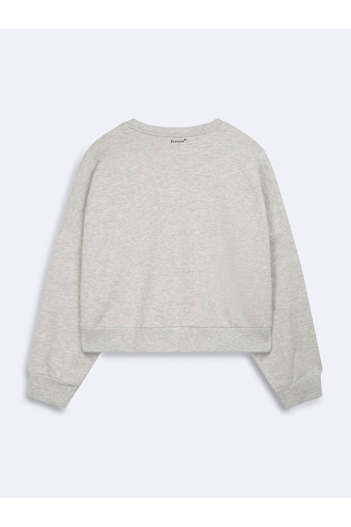 LTB Sweatshirt Gris Relaxed Imprimé Slogan Diagonal - Multicolore
