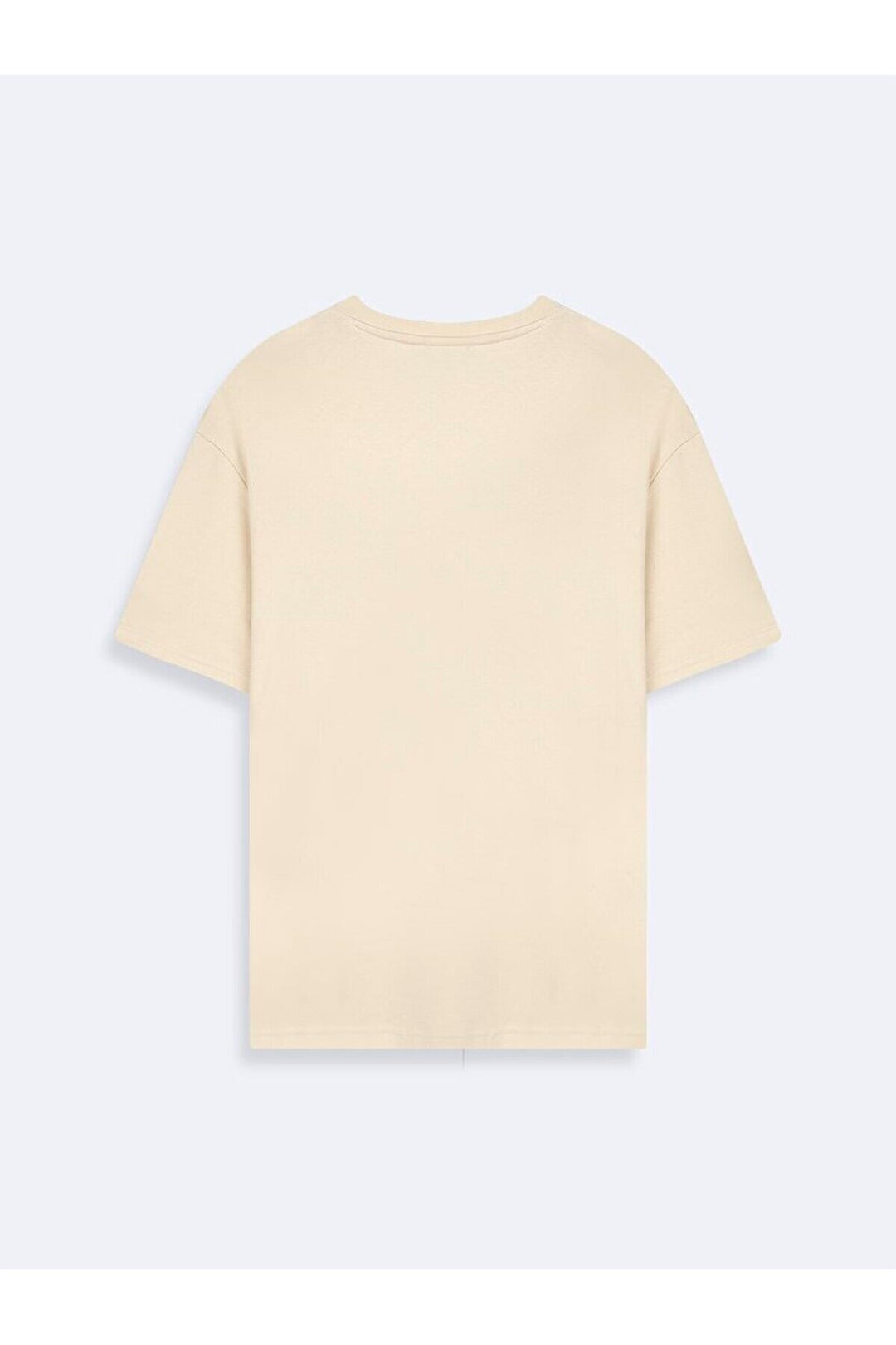 LTB Basıc Loose Beige T-shirt - Beige_1060