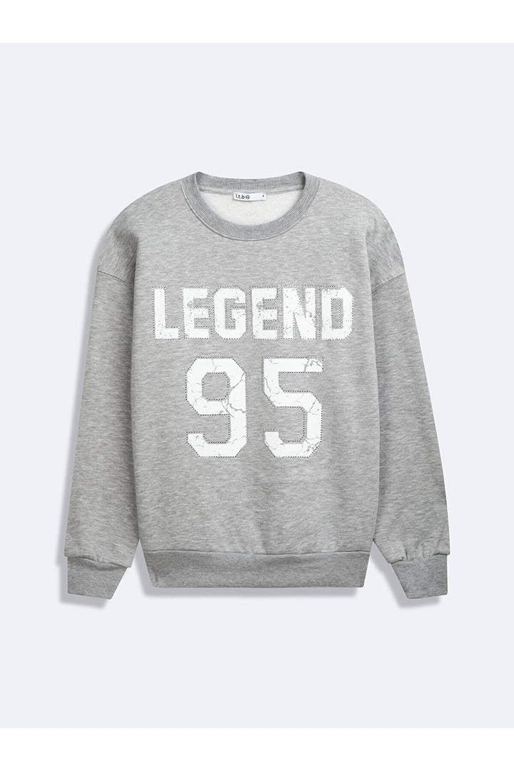LTB Sweat-shirt gris imprimé à manches longues et col zéro - Griṡ_203
