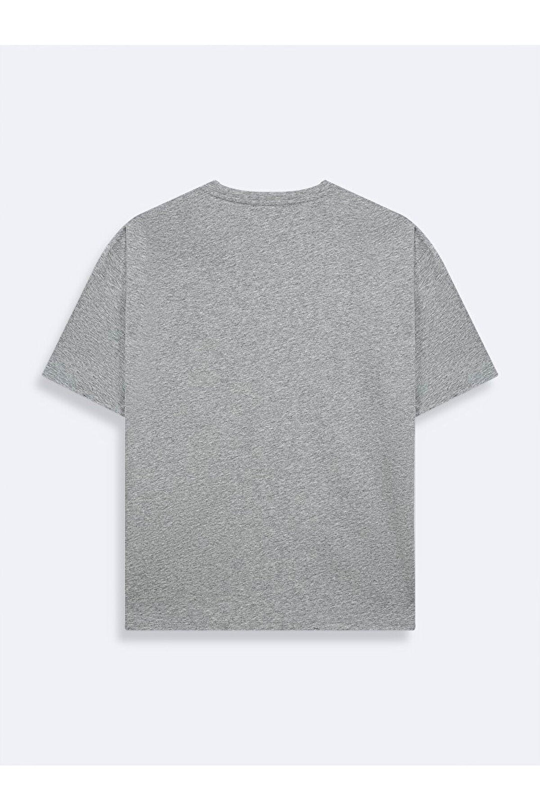 LTB T-shirt gris - Gris_203
