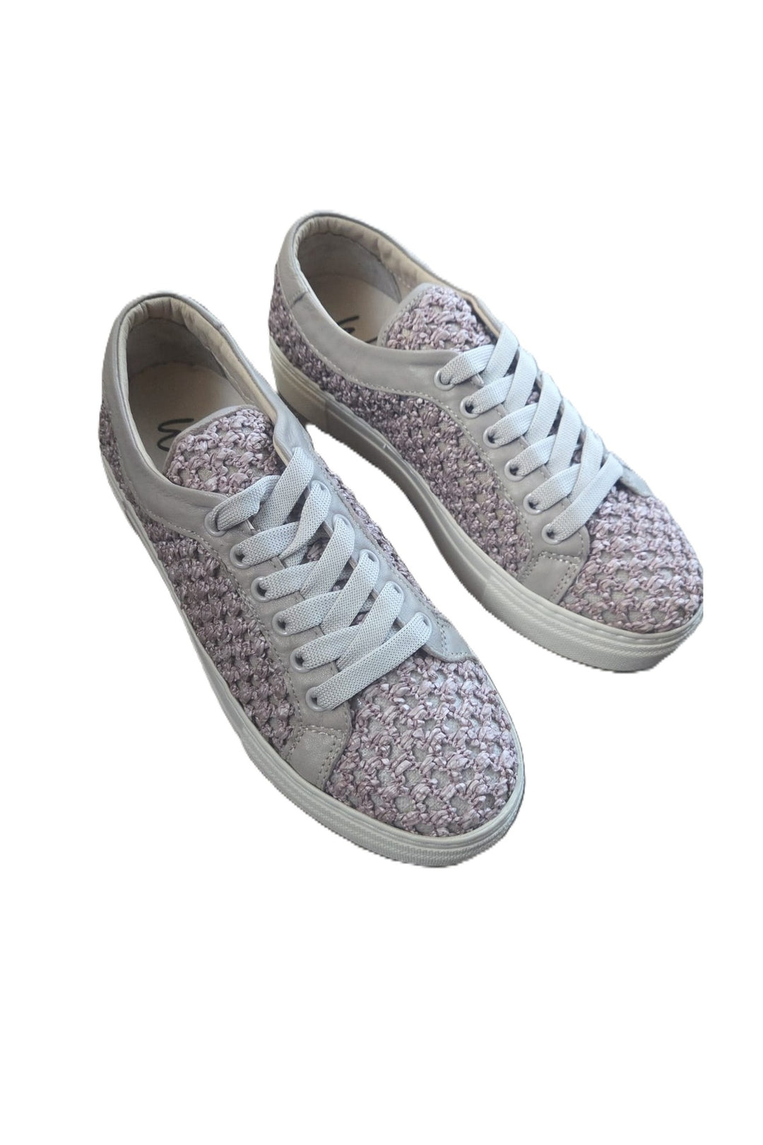 Wavelys belini - Multicolore