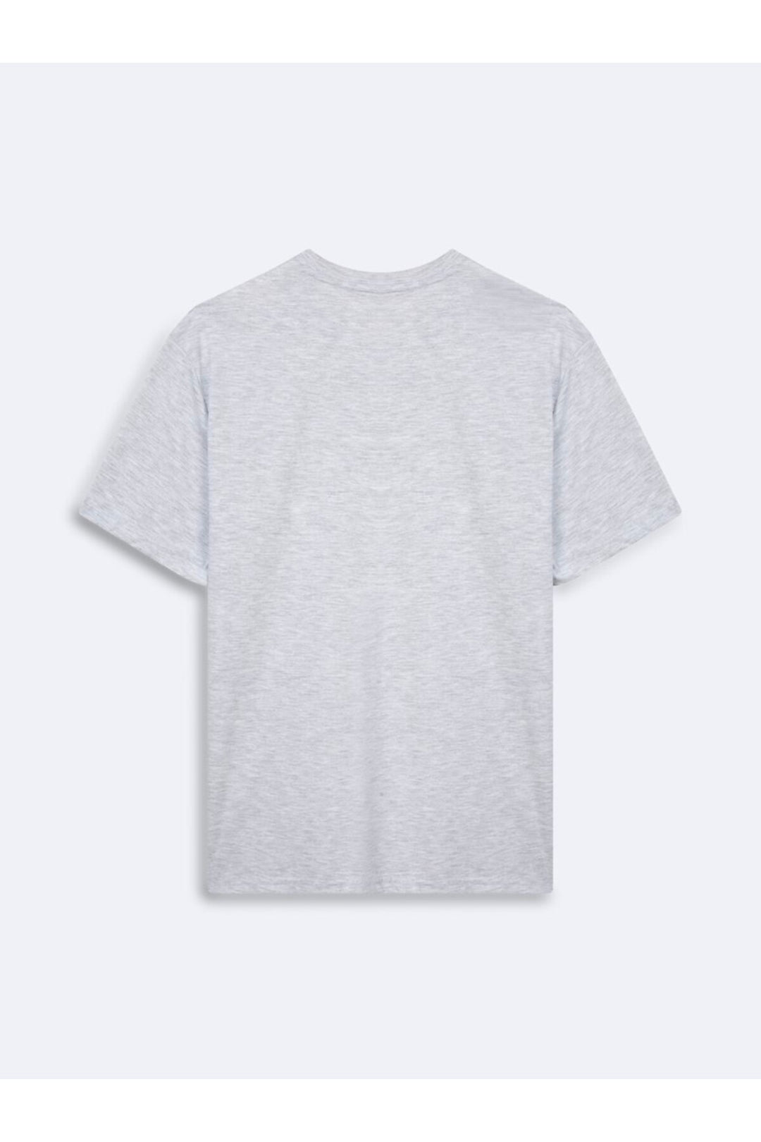 LTB T-shirt Gris avec Logo Imprimé - Gris