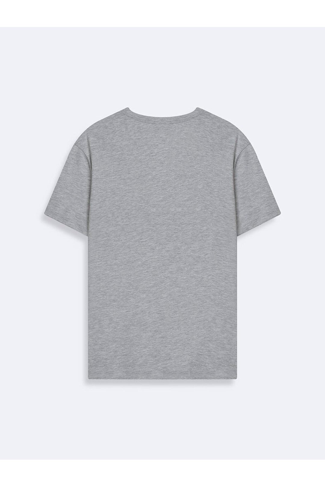 LTB T-shirt Gris Relaxed Fit Imprimé Varsity - Gris
