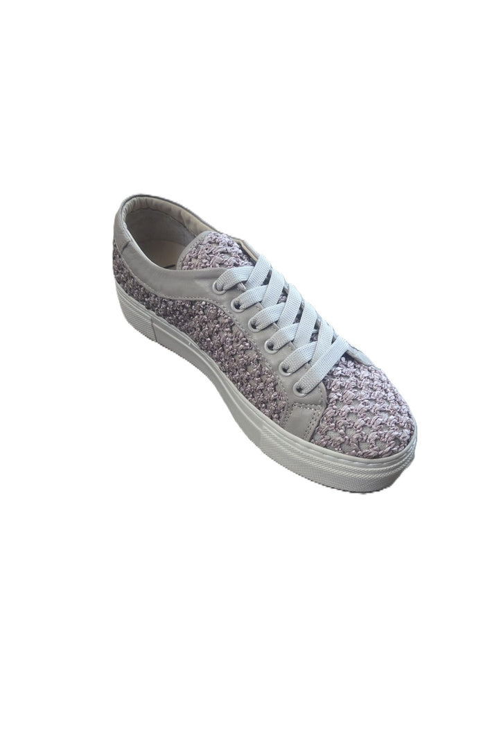 Wavelys belini - Multicolore
