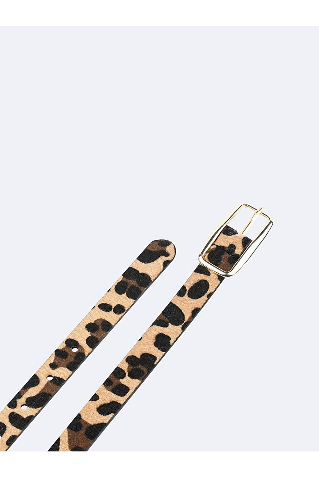 LTB Ceinture noire