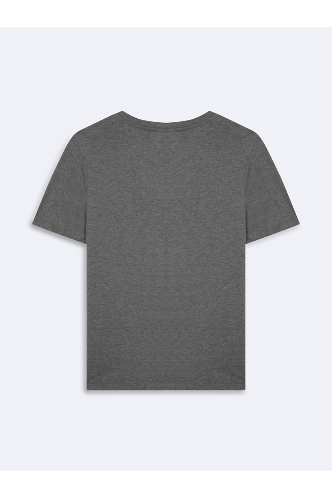 LTB basic V-neck t-shirt in anthracite - Anthracite