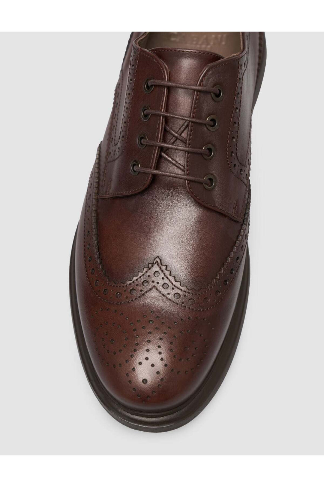 Cabani Shoes Chaussures de ville pour hommes en cuir véritable marron à lacets Eva Taban - Multicolore