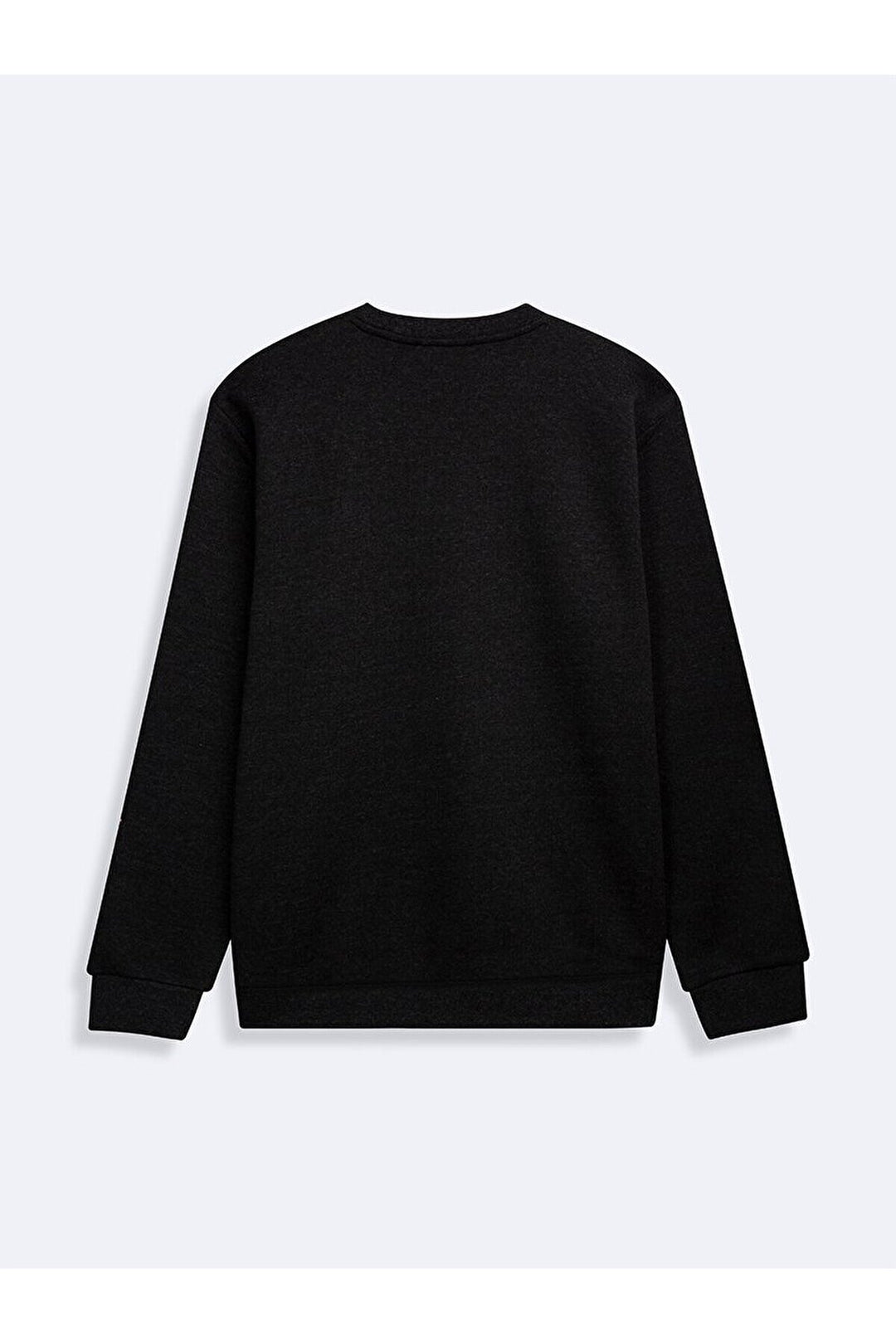 LTB Sweatshirt Anthracite - antrasi̇t_218