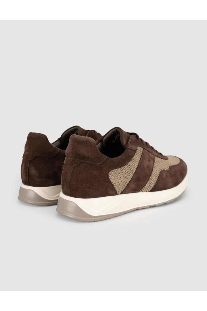 Cabani Shoes Baskets décontractées pour hommes en cuir véritable marron - Marron