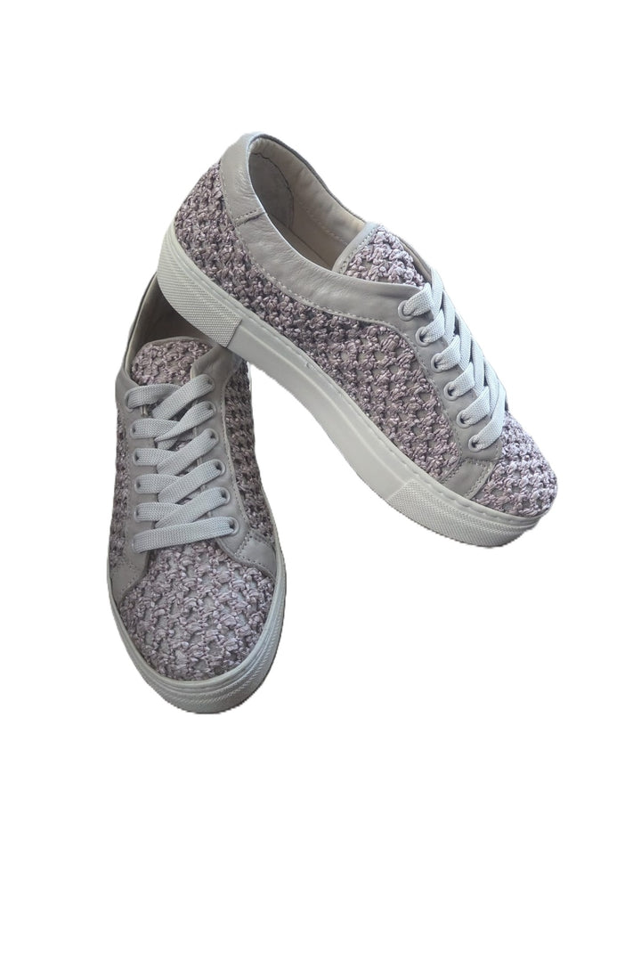 Wavelys belini - Multicolore