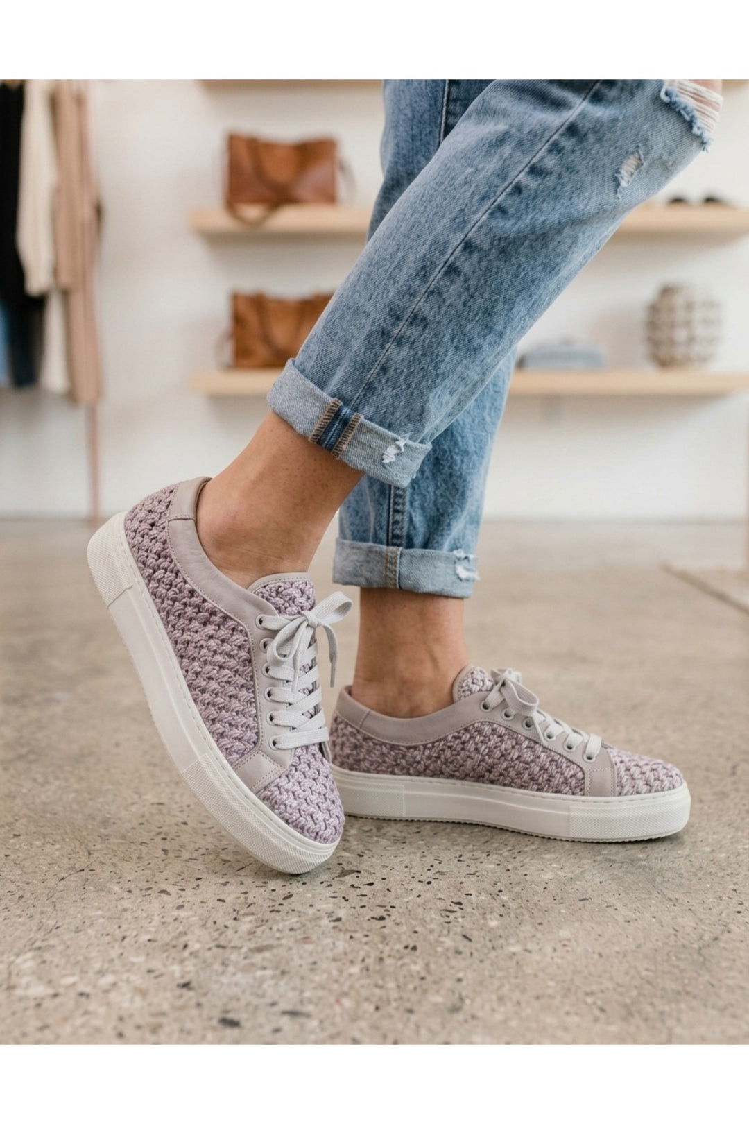 Wavelys belini - Multicolore