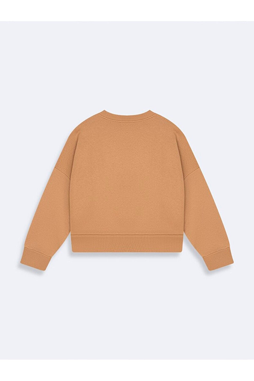 LTB Sweat-shirt marron