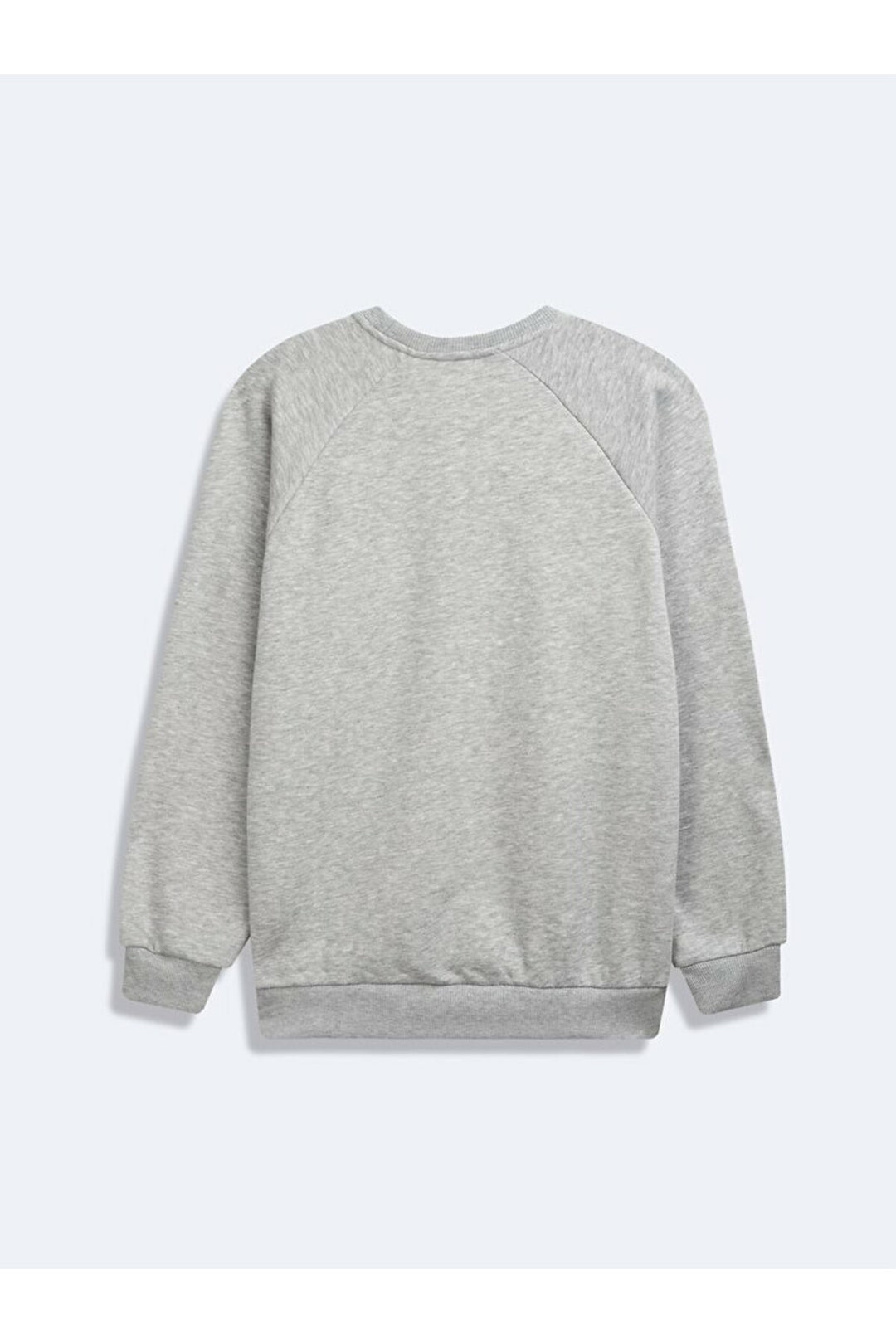 LTB Sweatshirt Gris Goriba Homme 0112686085615810000-203 - Gris