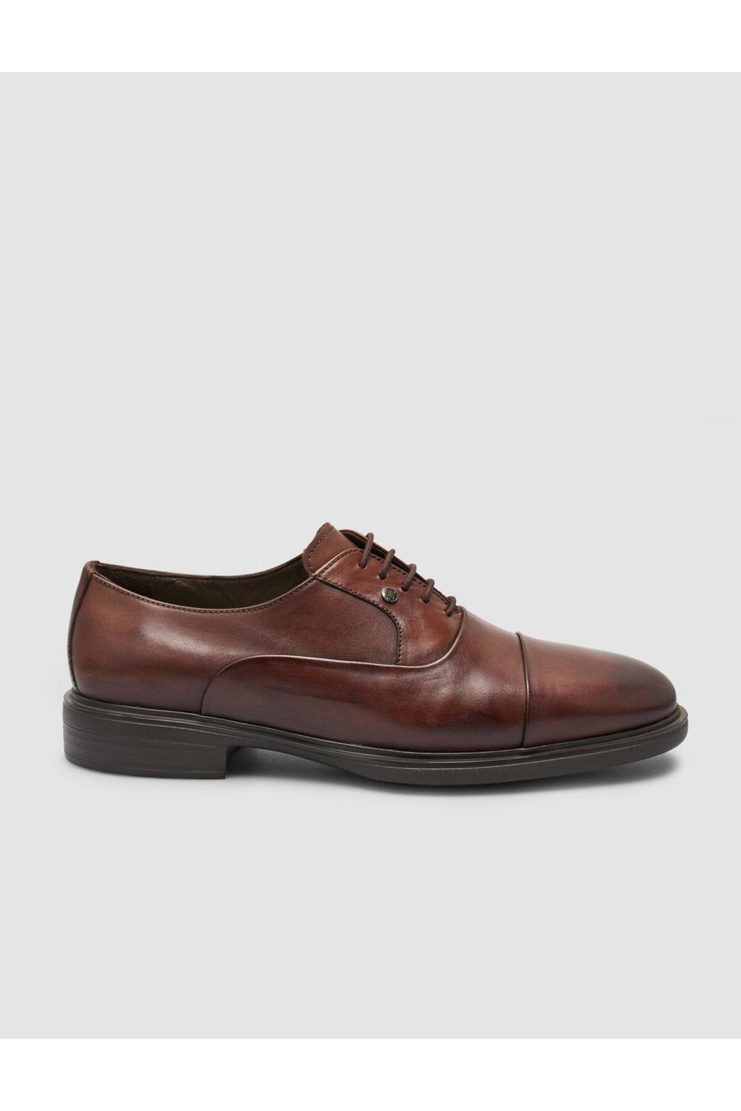 Cabani Shoes %100 Cuir véritable Chaussures classiques pour hommes Marron - Multicolore