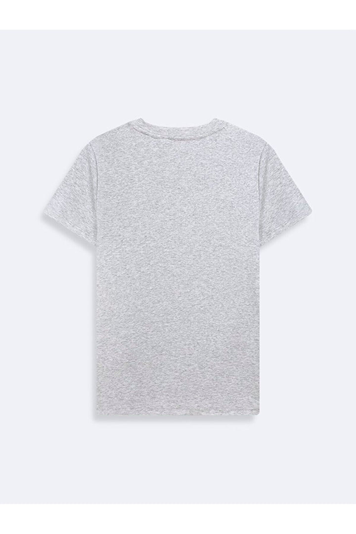 LTB T-shirt Gris - Gris_217