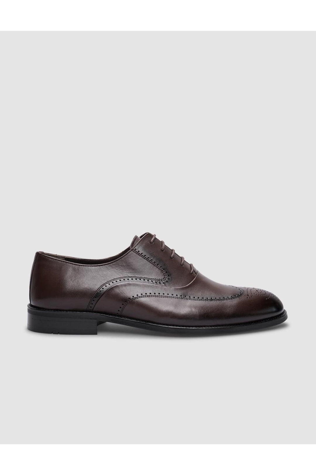 Cabani Shoes Chaussures classiques pour hommes en cuir véritable marron à lacets - Marron