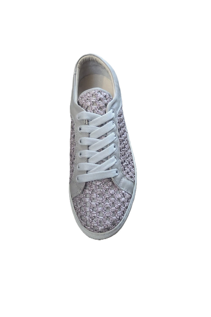 Wavelys belini - Multicolore