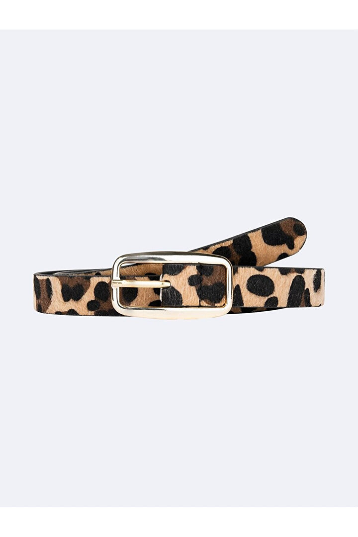 LTB Ceinture noire