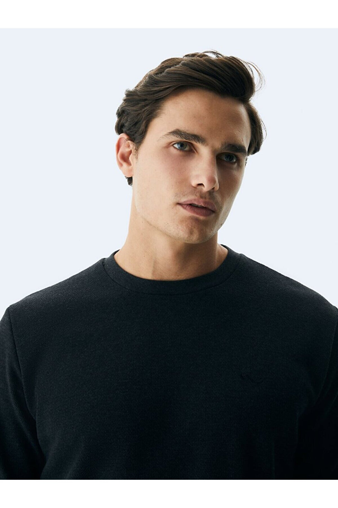 LTB Sweat-shirt ras du cou anthracite