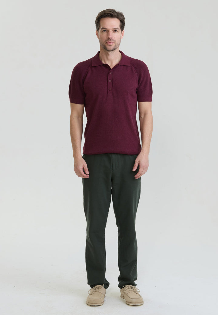Felix Hardy T-shirt polo à boutons pour homme - Bordeaux