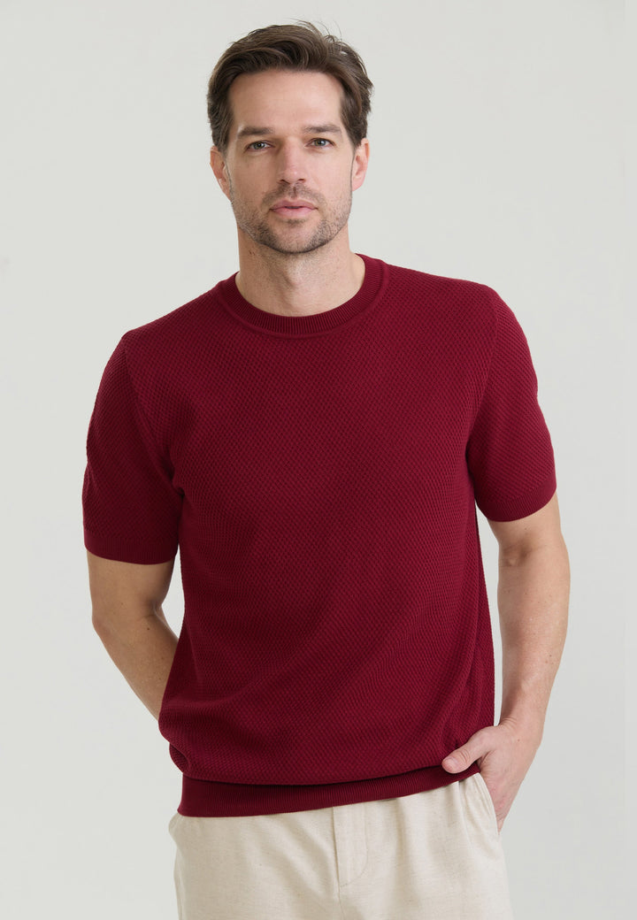 Felix Hardy T-shirt en tricot à col rond pour homme - Bordeaux