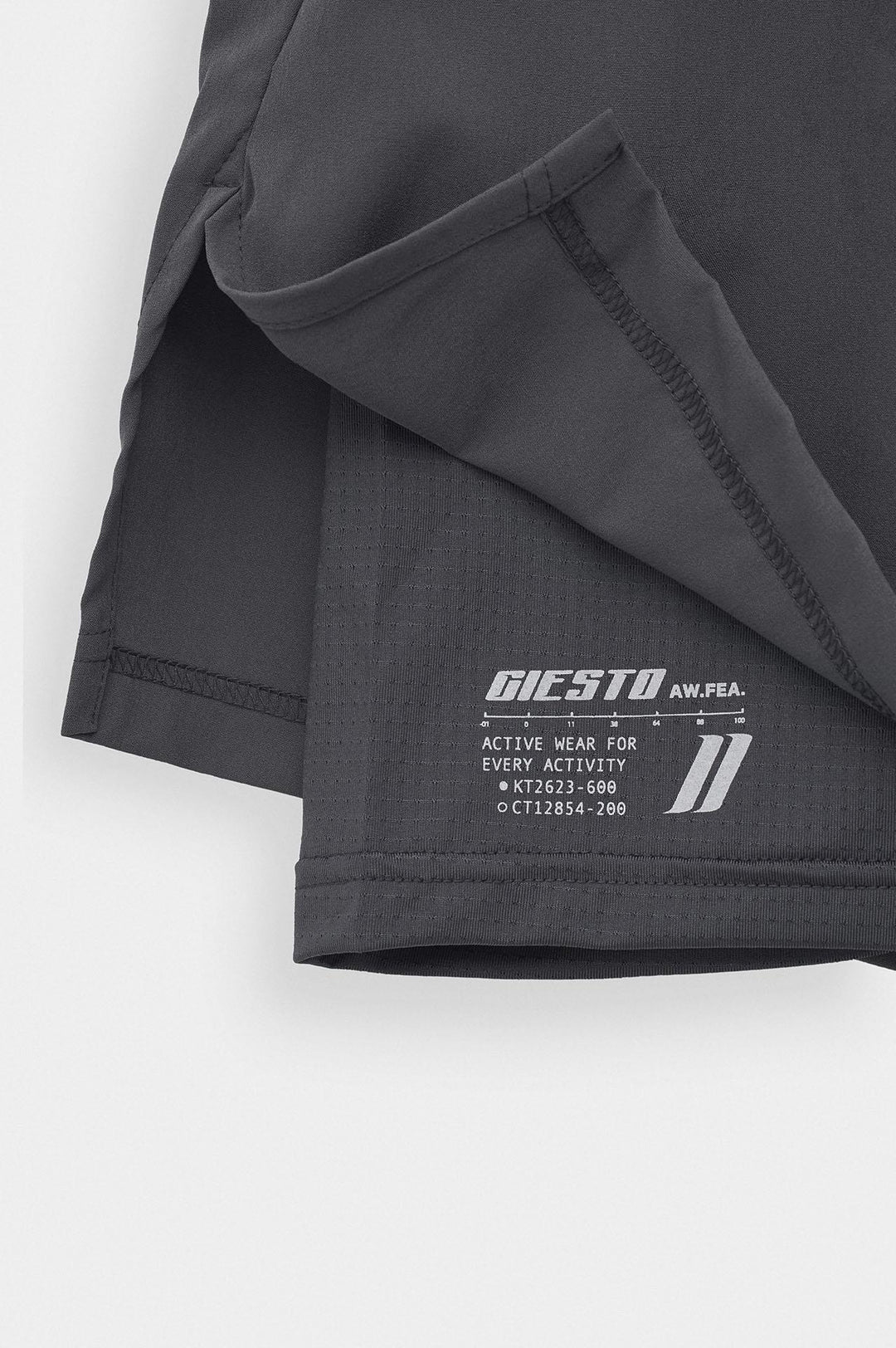 Giesto Short d'Entraînement Technique avec Leggings Active Wear Anthracite - Anthracite