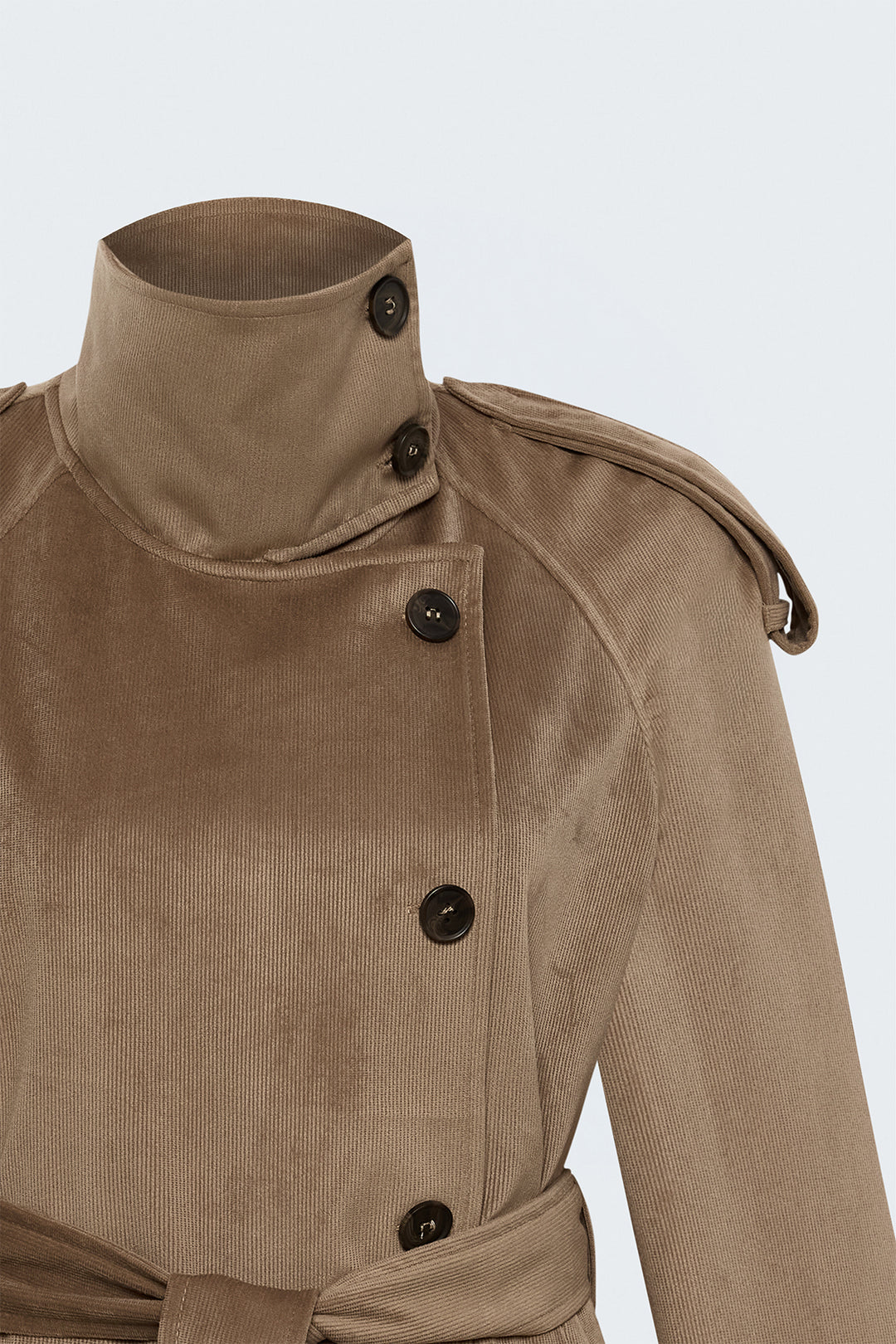Sateen Veste courte en velours - Camel