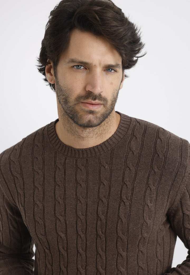 Felix Hardy Pull en tricot à col rond avec motifs tressés pour homme - Marron