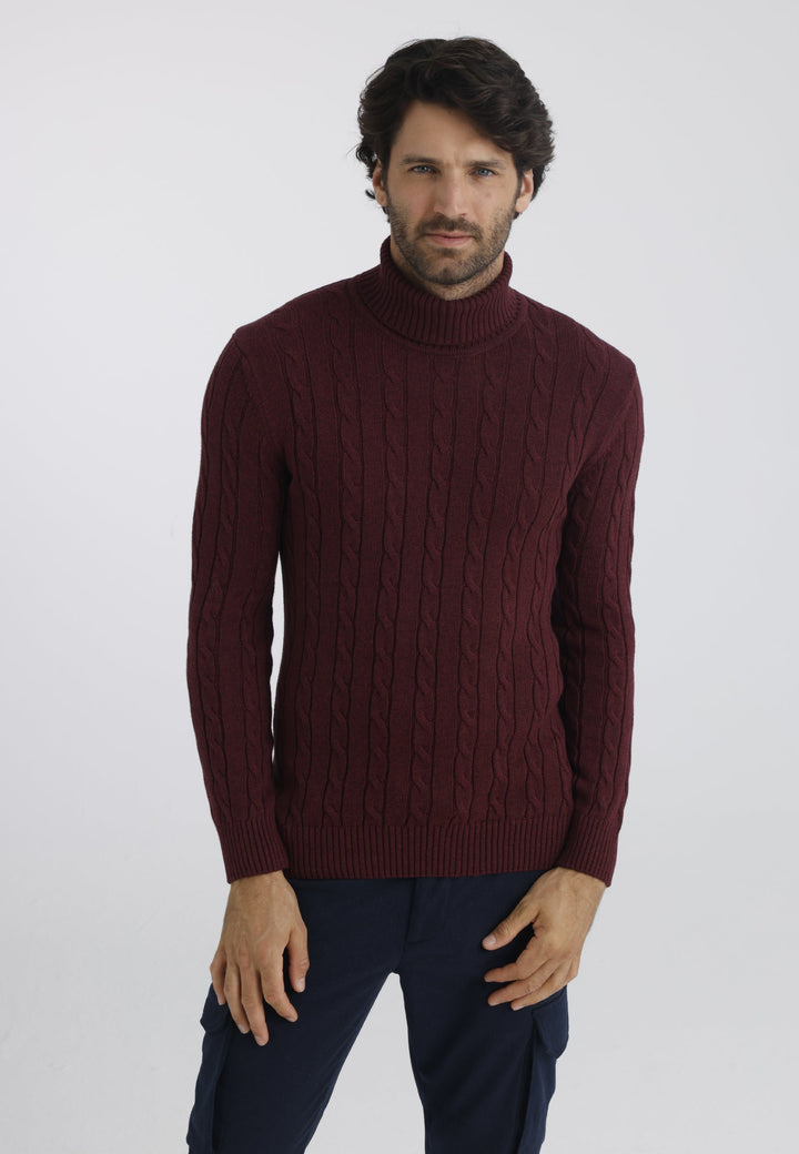 Felix Hardy Pull en tricot à col montant pour homme - Bordeaux